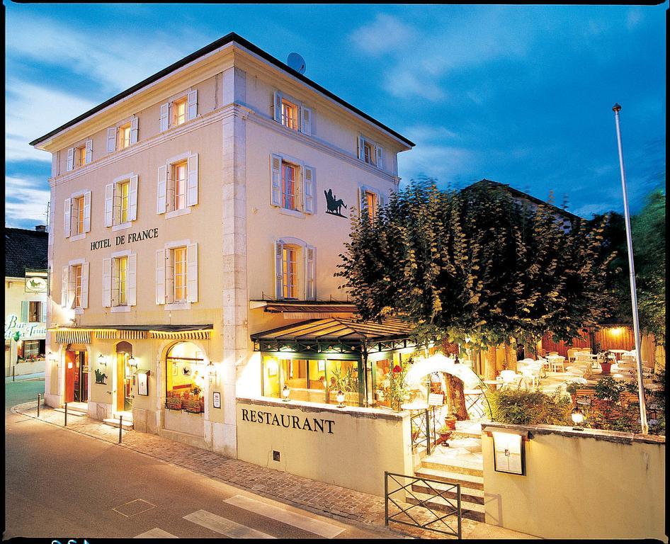 Hotel De France Ferney-Voltaire Exterior photo